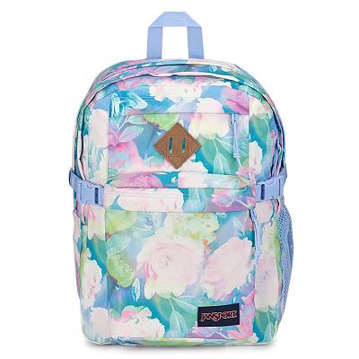 Multicolor JanSport Main Campus School Backpacks | MY_JS171