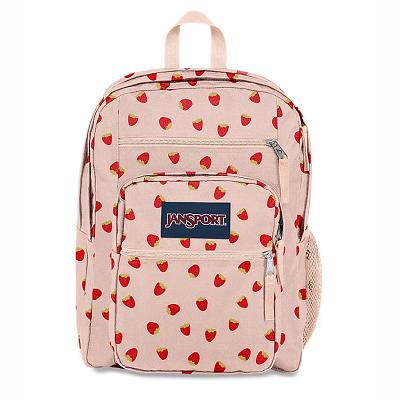 Pink JanSport BIG STUDENT Laptop Backpacks | MY_JS302