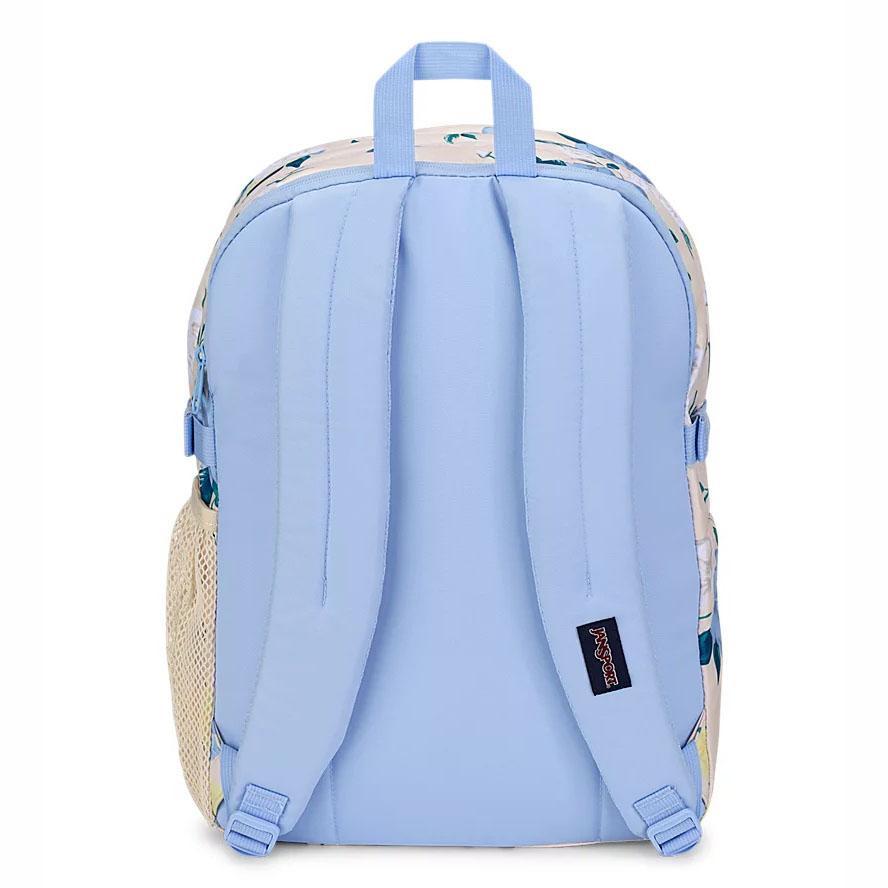 Blue / Yellow JanSport Main Campus School Backpacks | MY_JS298