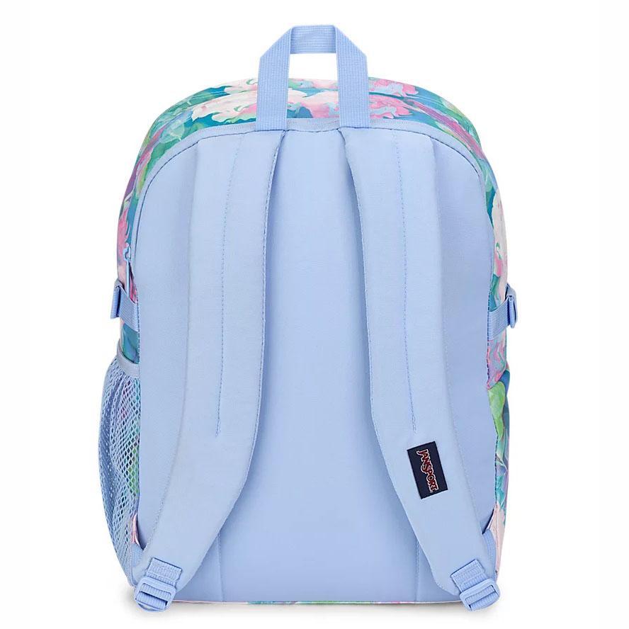 Multicolor JanSport Main Campus School Backpacks | MY_JS171