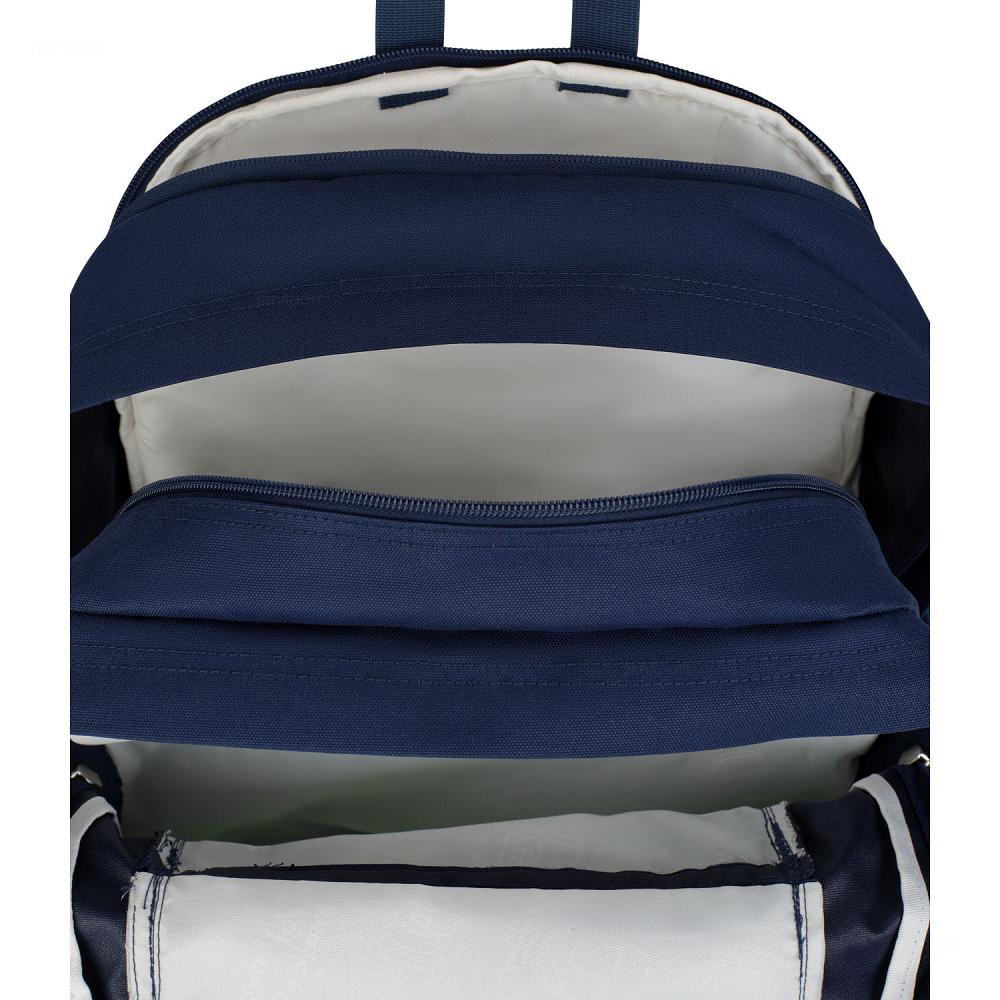 Navy JanSport SUEDE CAMPUS Laptop Backpacks | MY_JS393