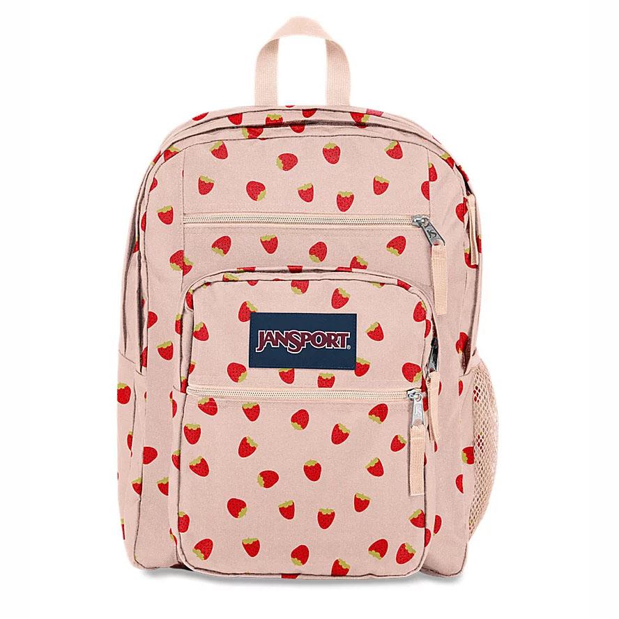 Pink JanSport BIG STUDENT Laptop Backpacks | MY_JS302