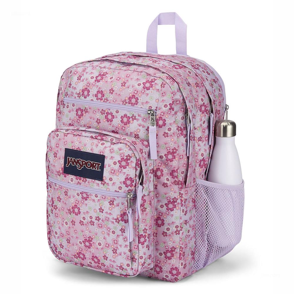 Pink JanSport BIG STUDENT Laptop Backpacks | MY_JS469