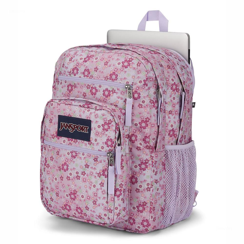 Pink JanSport BIG STUDENT Laptop Backpacks | MY_JS469