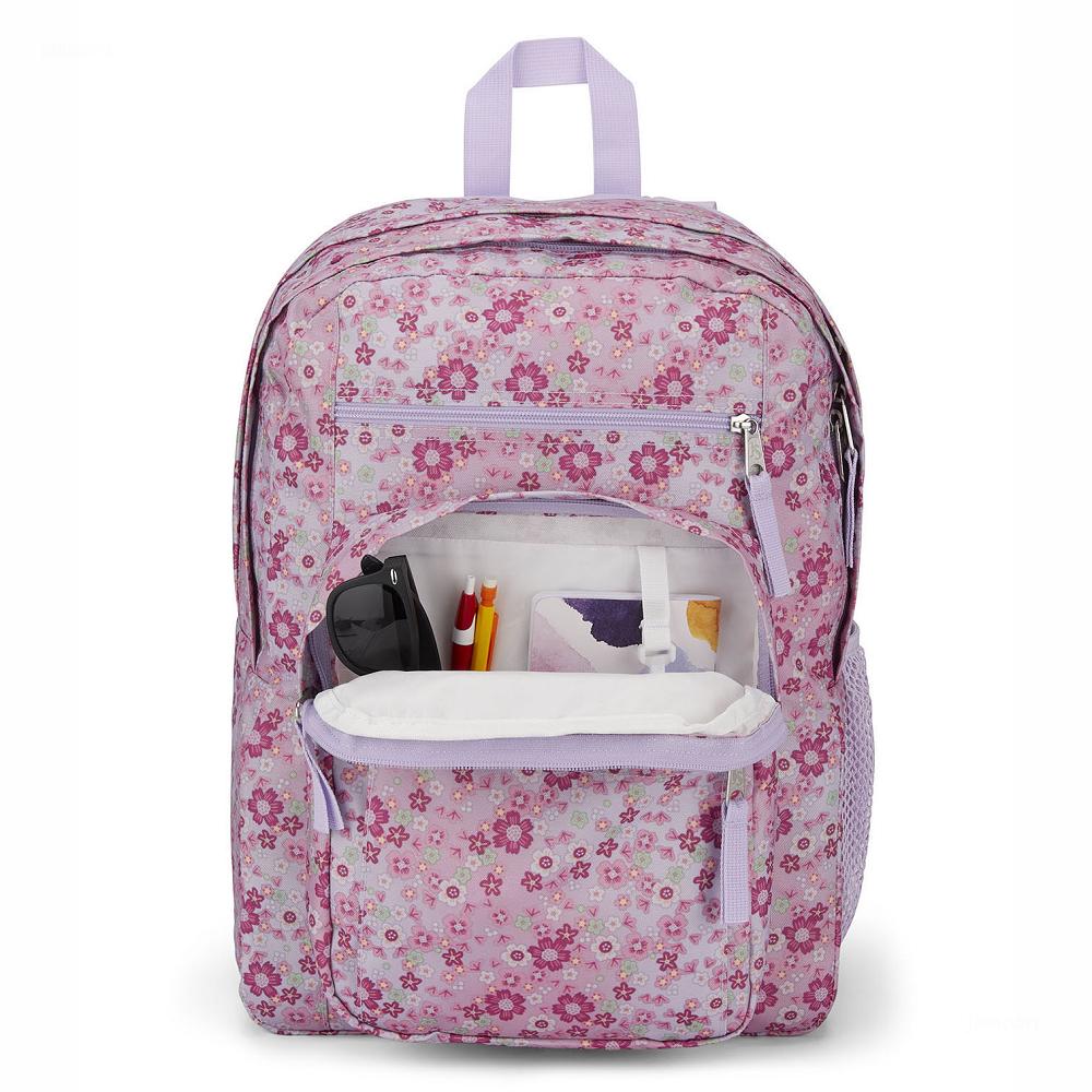 Pink JanSport BIG STUDENT Laptop Backpacks | MY_JS469