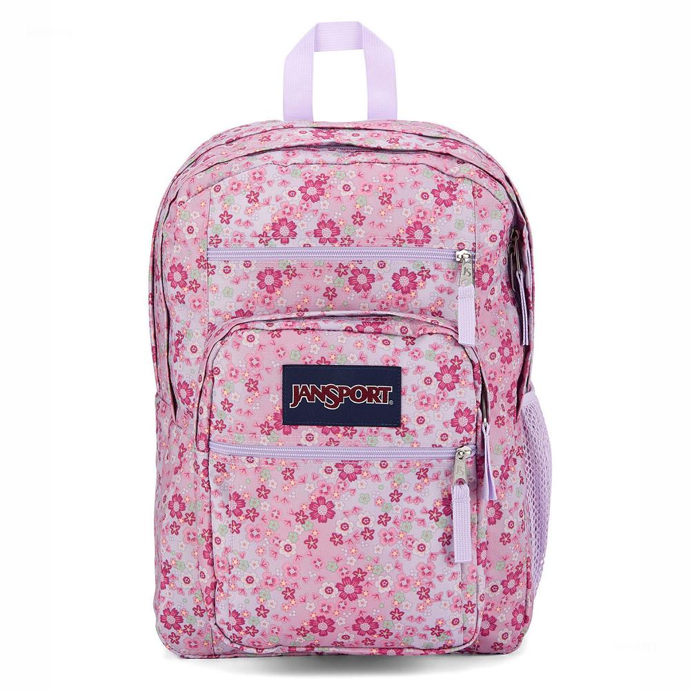 Pink JanSport BIG STUDENT Laptop Backpacks | MY_JS469