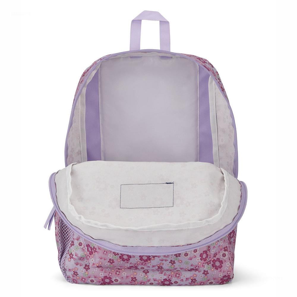 Pink JanSport CROSS TOWN School Backpacks | MY_JS104