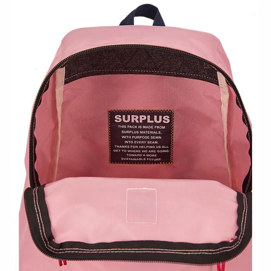 Pink JanSport SKI N HIKE School Backpacks | MY_JS406
