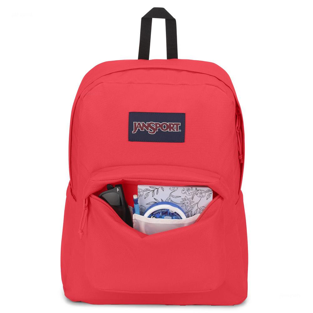 Pink JanSport SuperBreak® Plus Laptop Backpacks | MY_JS141