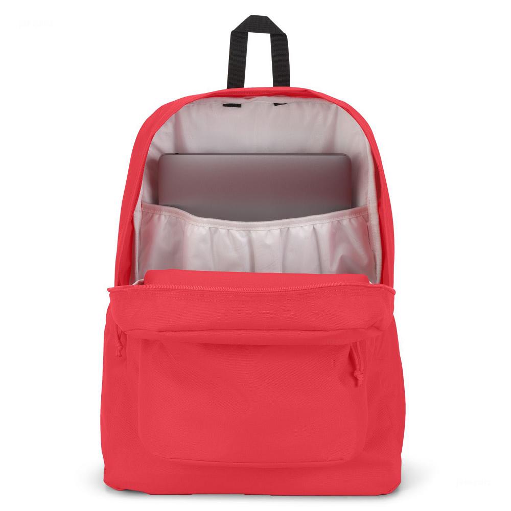 Pink JanSport SuperBreak® Plus Laptop Backpacks | MY_JS141