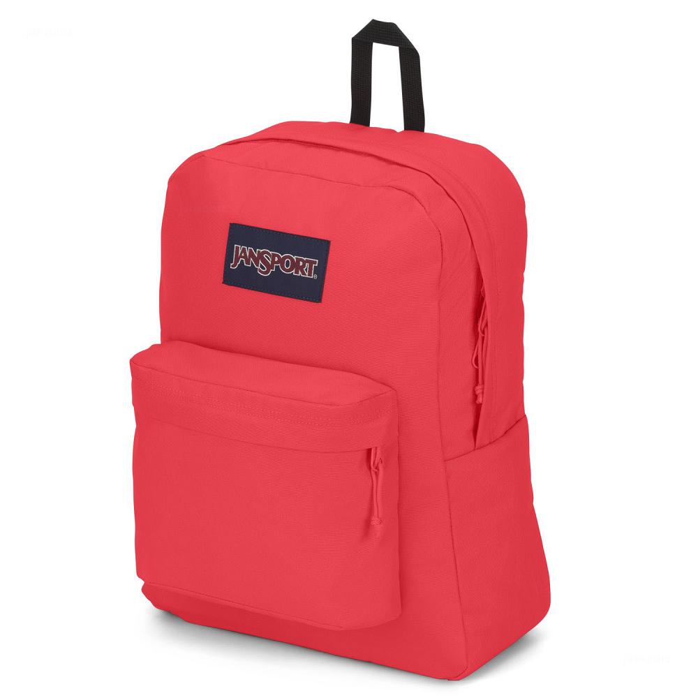Pink JanSport SuperBreak® Plus School Backpacks | MY_JS189