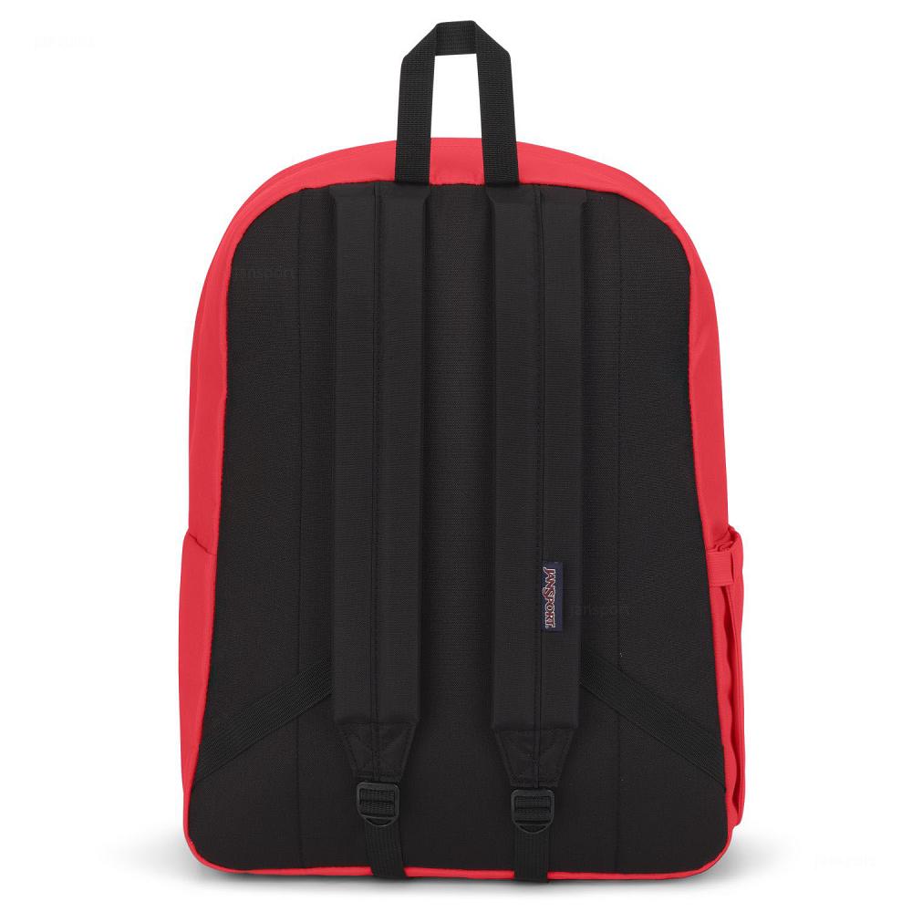 Pink JanSport SuperBreak® Plus School Backpacks | MY_JS189