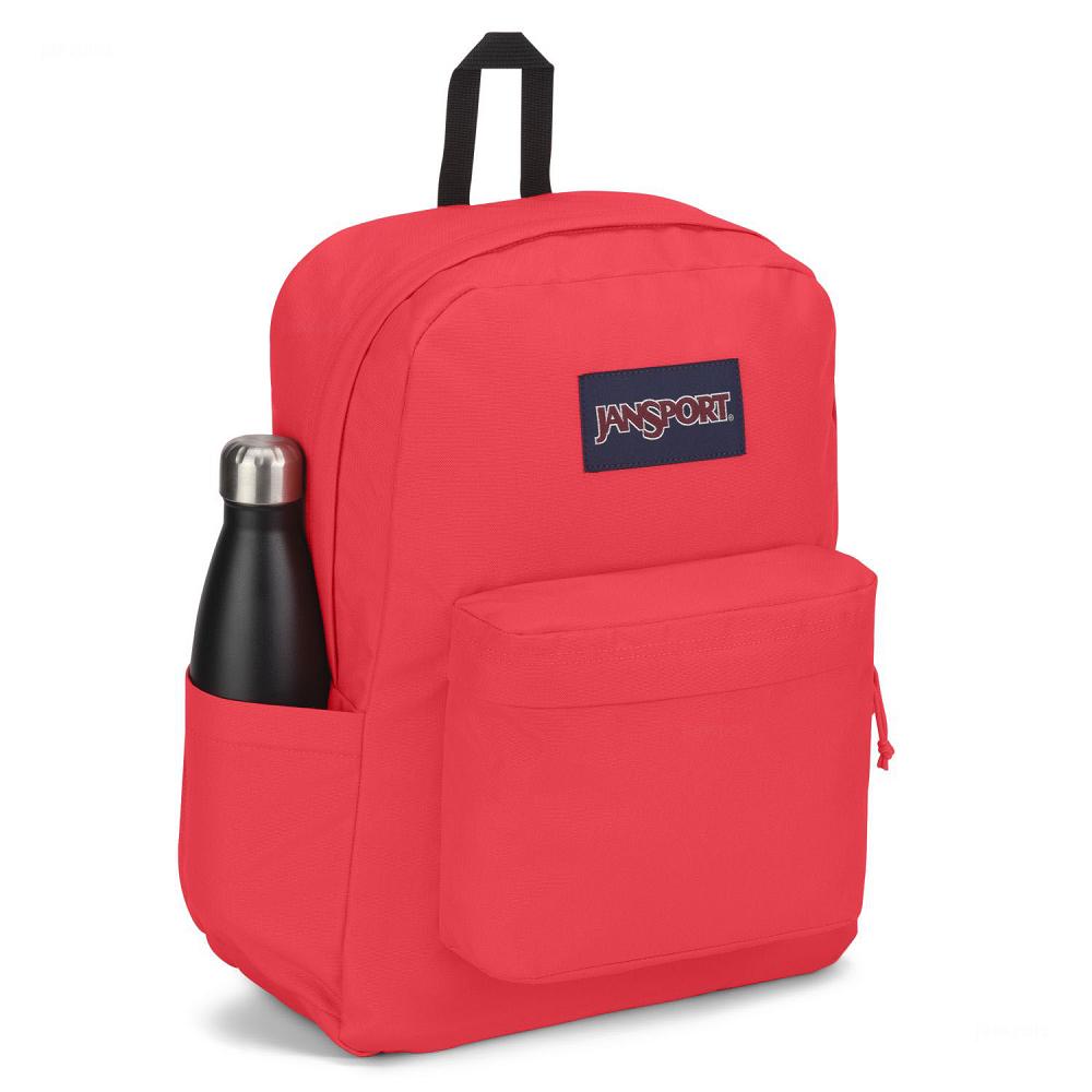Pink JanSport SuperBreak® Plus School Backpacks | MY_JS189