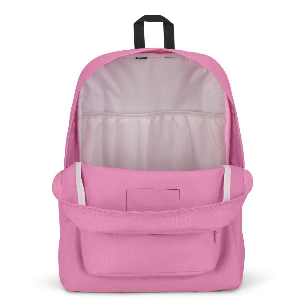 Pink JanSport SuperBreak® Plus School Backpacks | MY_JS199