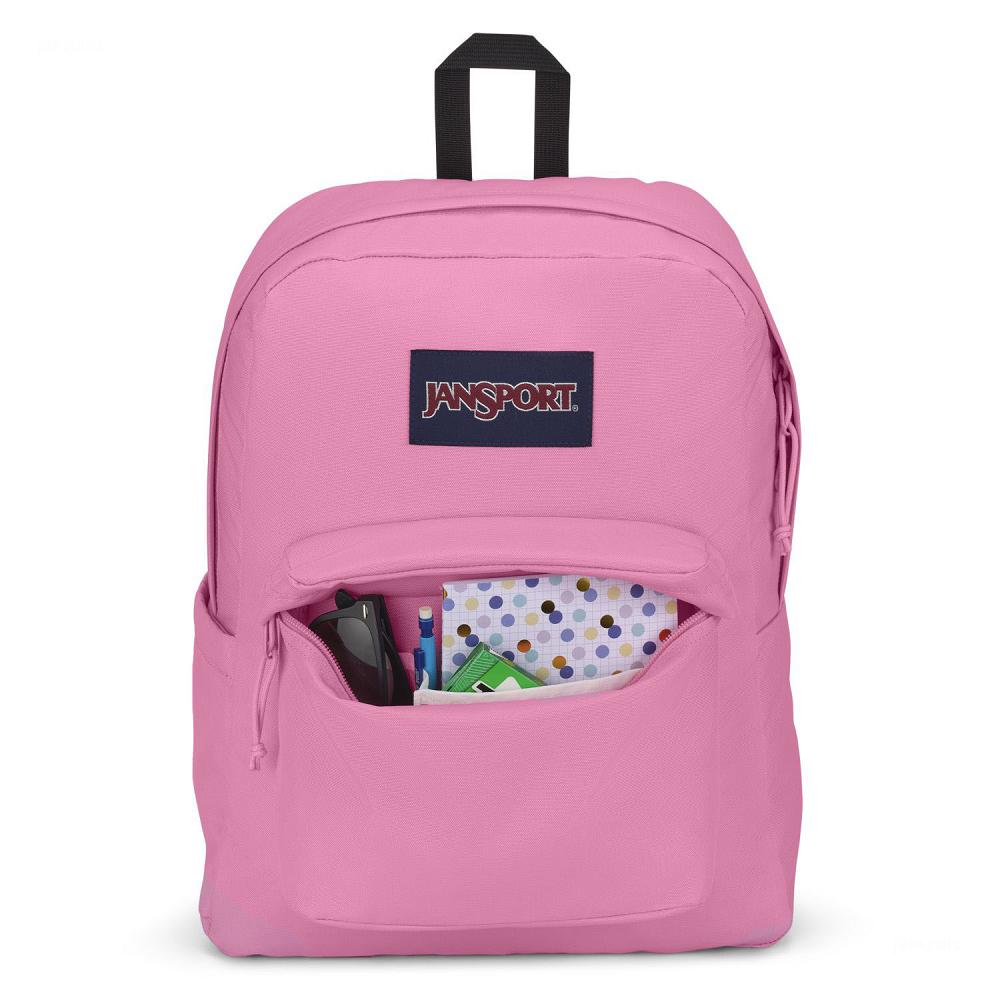 Pink JanSport SuperBreak® Plus School Backpacks | MY_JS199