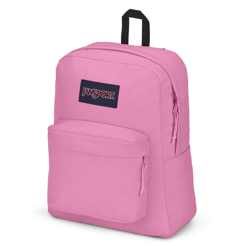 Pink JanSport SuperBreak® Plus School Backpacks | MY_JS199