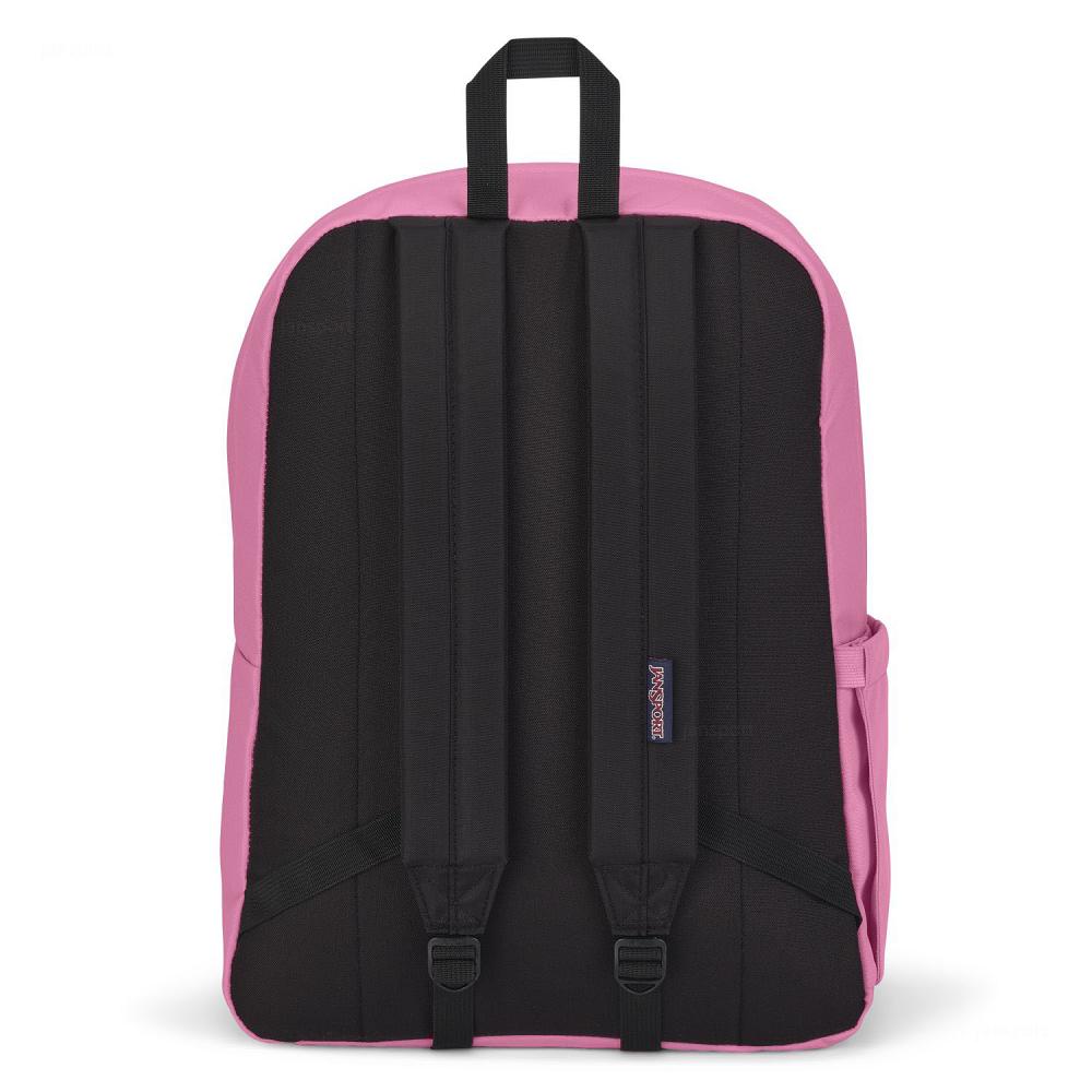 Pink JanSport SuperBreak® Plus School Backpacks | MY_JS199