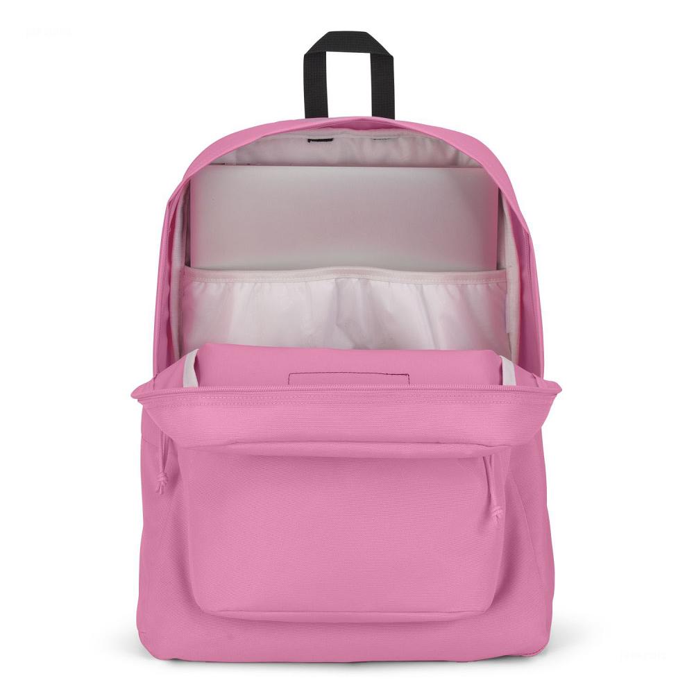 Pink JanSport SuperBreak® Plus School Backpacks | MY_JS199