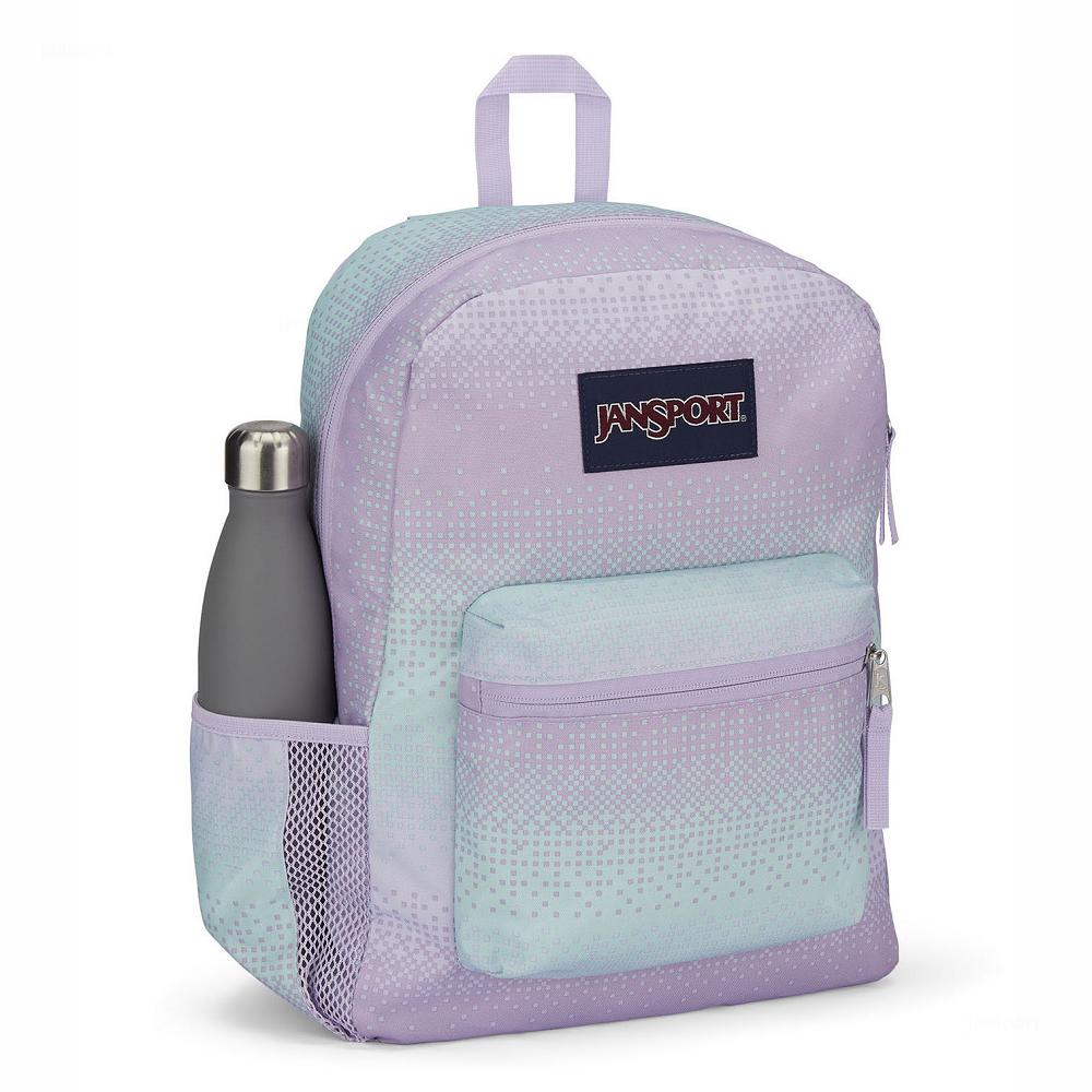 Purple / Green JanSport CROSS TOWN School Backpacks | MY_JS145