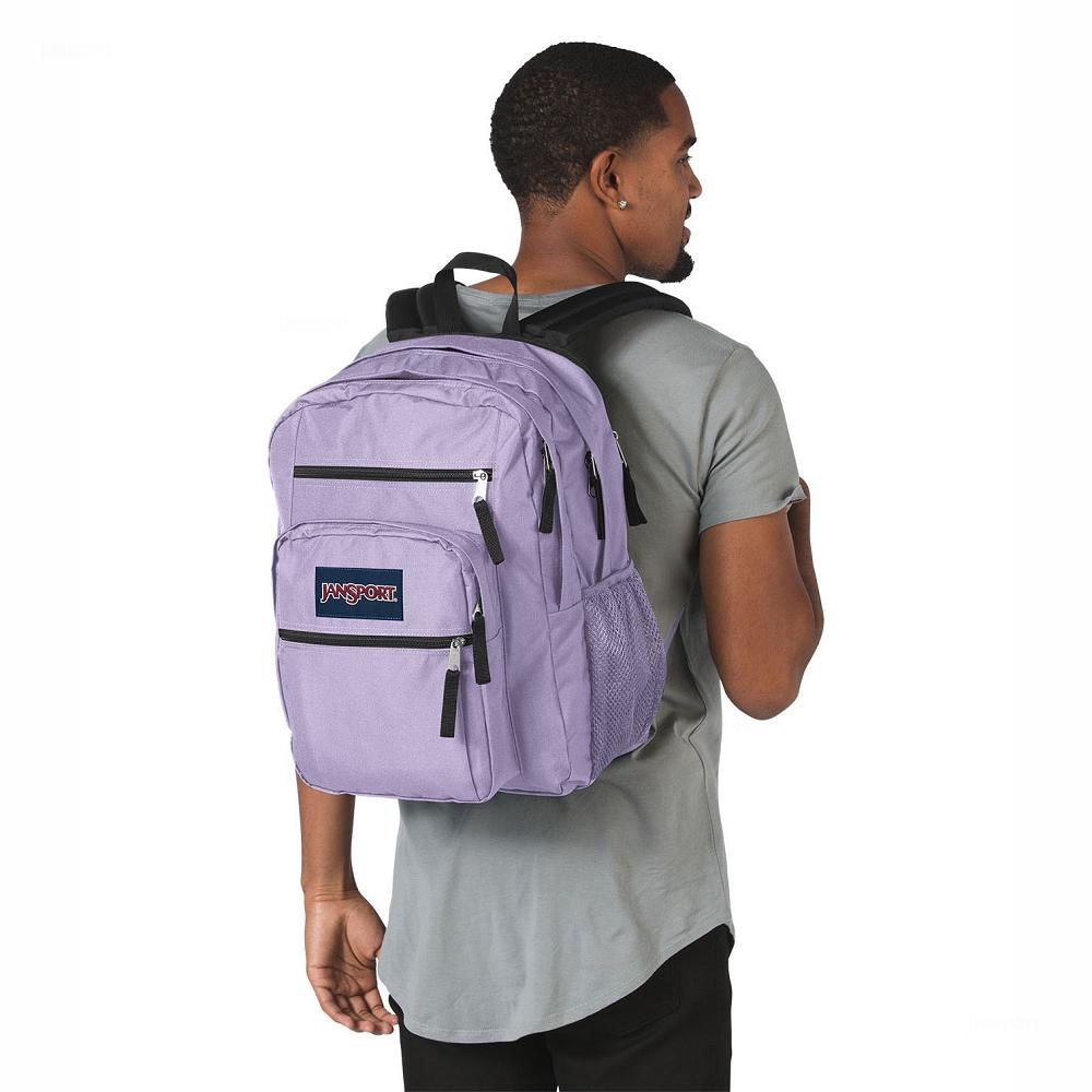 Purple JanSport BIG STUDENT Laptop Backpacks | MY_JS062