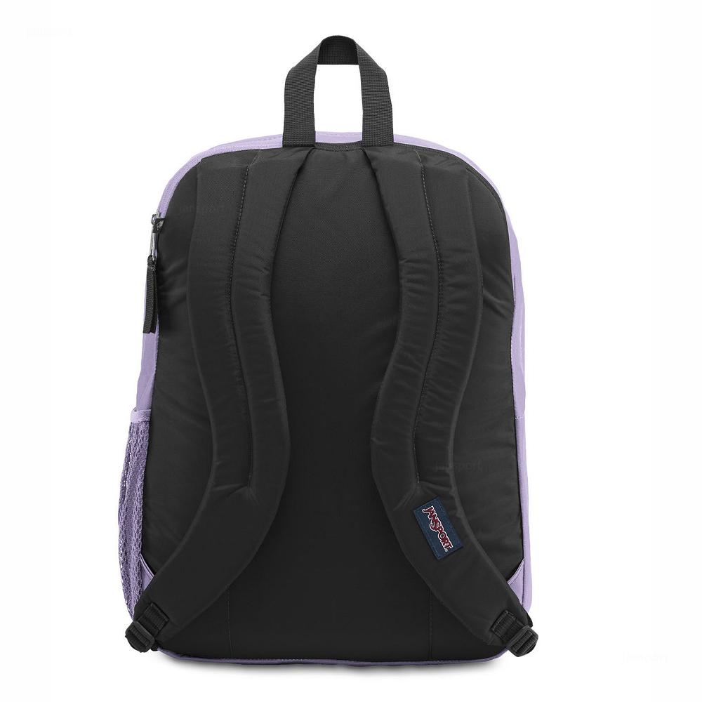 Purple JanSport BIG STUDENT Laptop Backpacks | MY_JS062