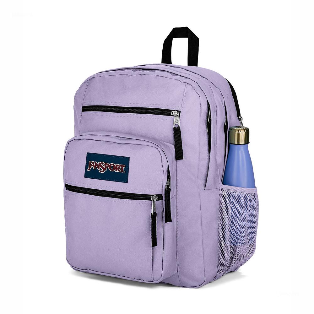 Purple JanSport BIG STUDENT Laptop Backpacks | MY_JS062