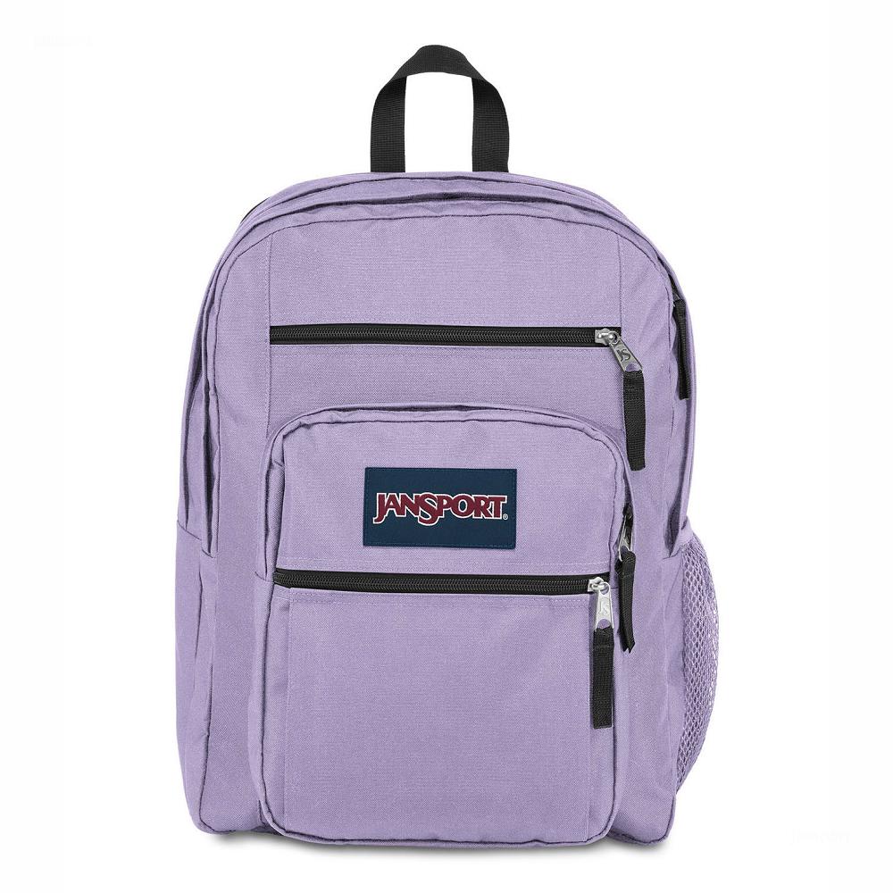 Purple JanSport BIG STUDENT Laptop Backpacks | MY_JS062
