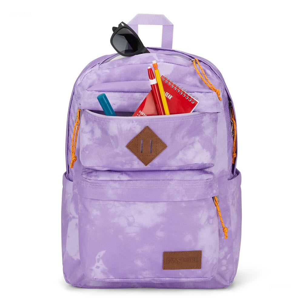 Purple JanSport Double Break Laptop Backpacks | MY_JS016