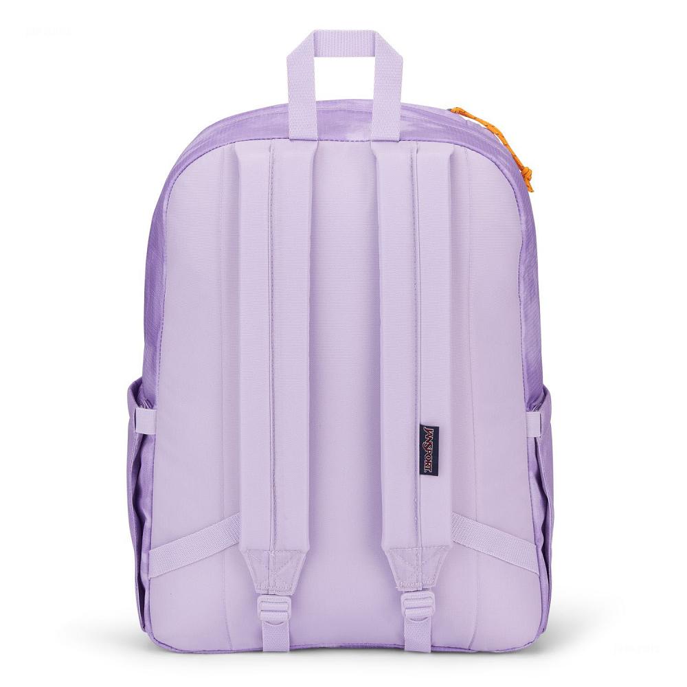 Purple JanSport Double Break Laptop Backpacks | MY_JS016