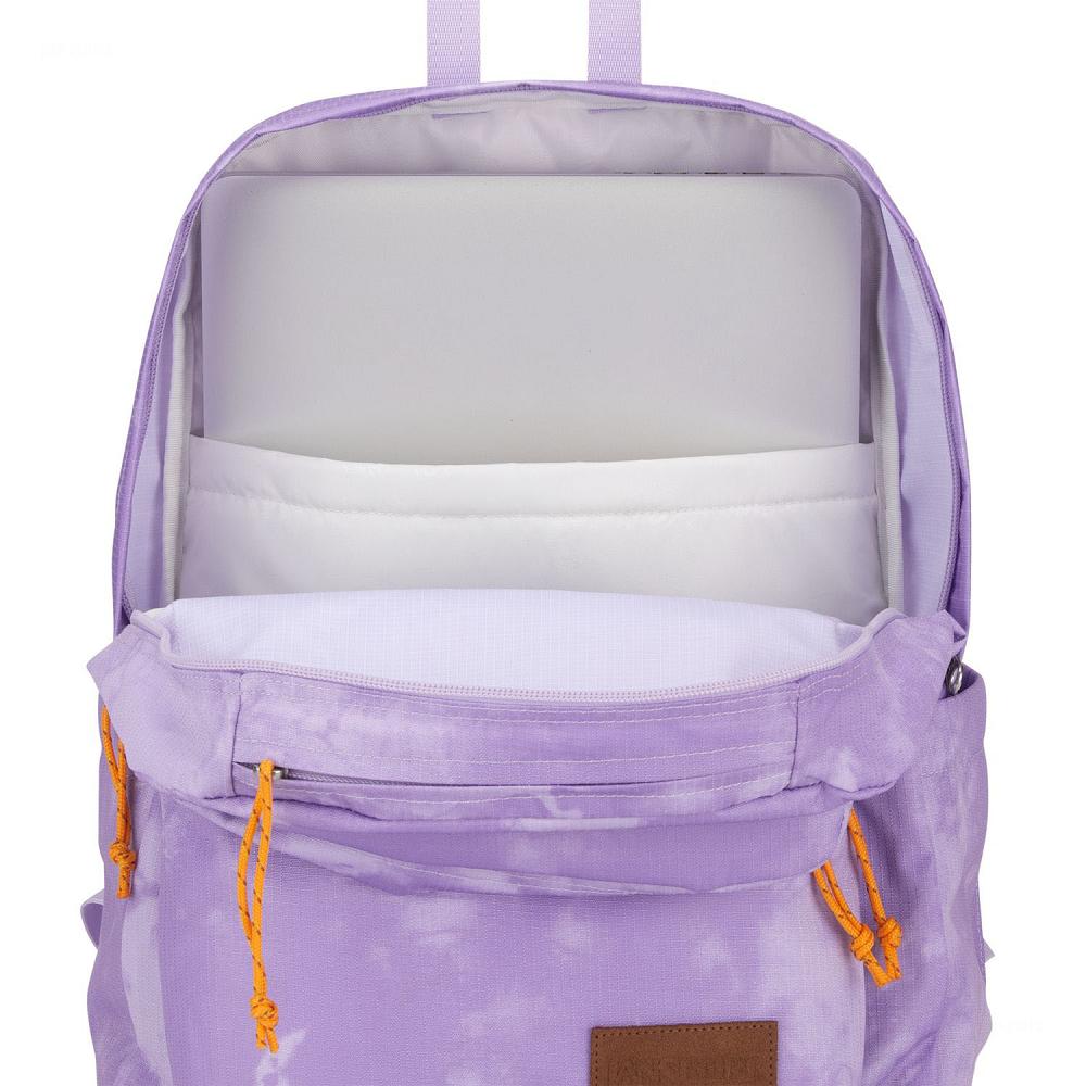 Purple JanSport Double Break Laptop Backpacks | MY_JS016