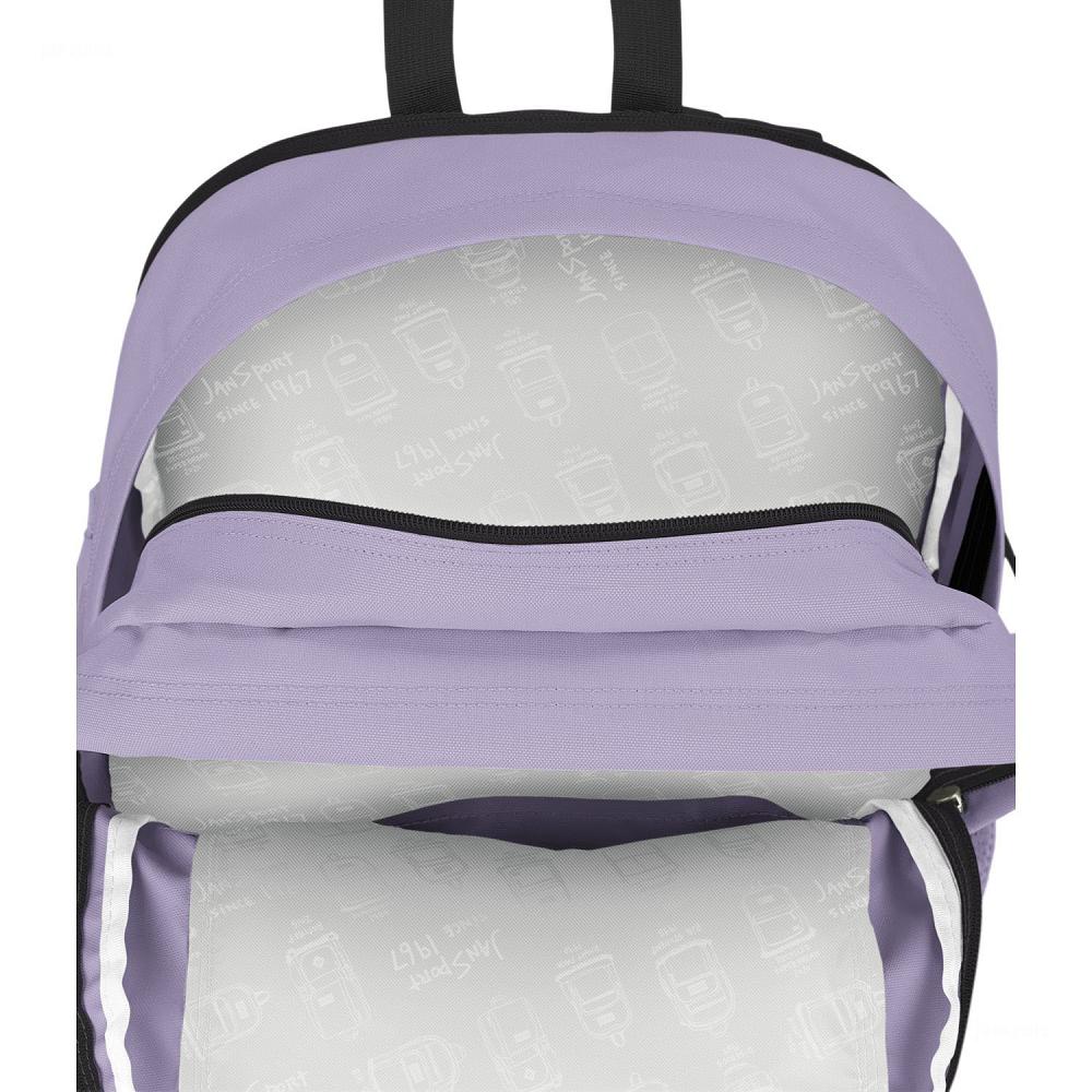 Purple JanSport Main Campus Laptop Backpacks | MY_JS443