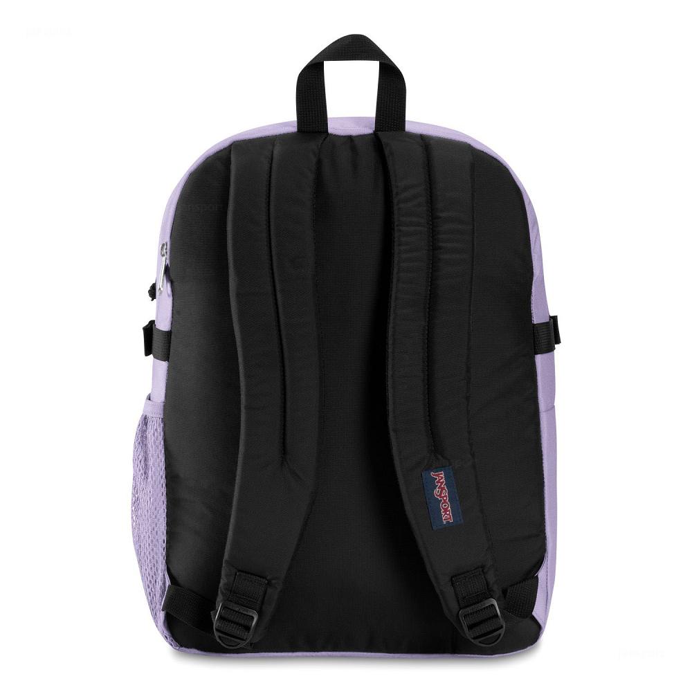 Purple JanSport Main Campus Laptop Backpacks | MY_JS443