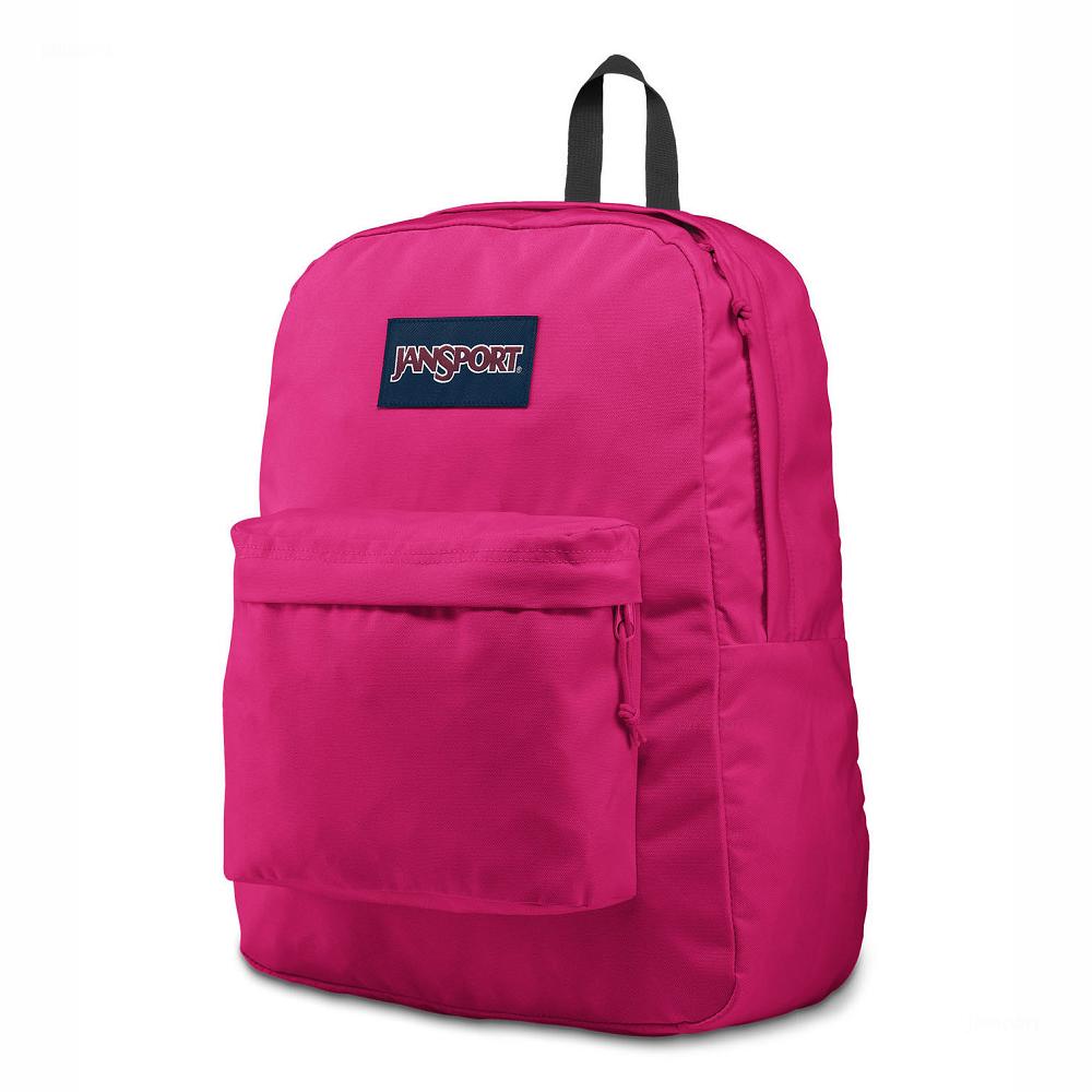 Purple JanSport SuperBreak® Plus Laptop Backpacks | MY_JS511