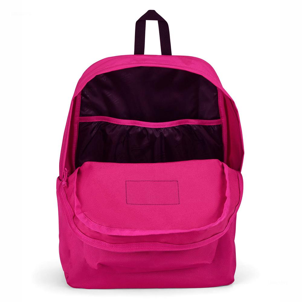 Purple JanSport SuperBreak® Plus Laptop Backpacks | MY_JS511