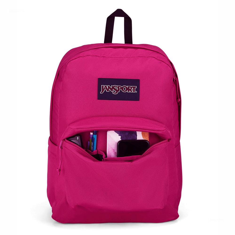 Purple JanSport SuperBreak® Plus Laptop Backpacks | MY_JS511