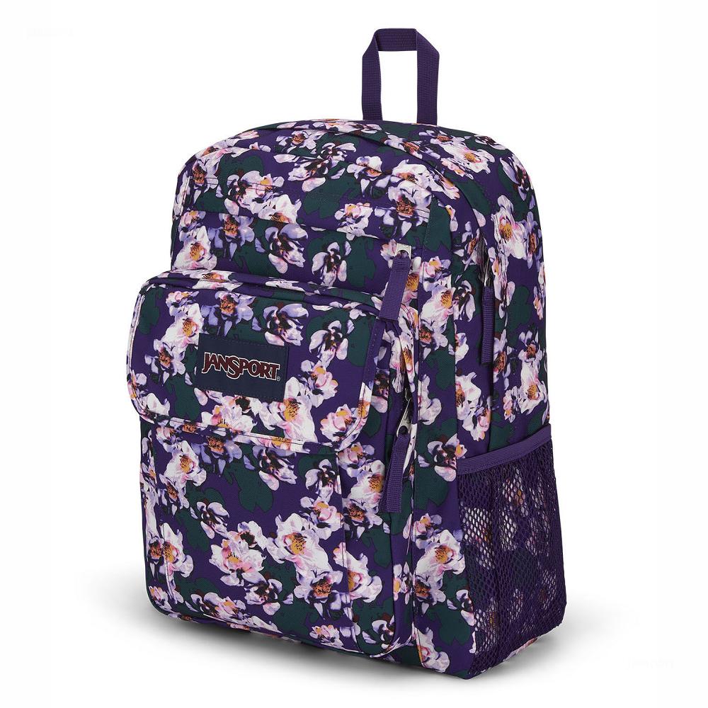 Purple JanSport UNION PACK Laptop Backpacks | MY_JS396