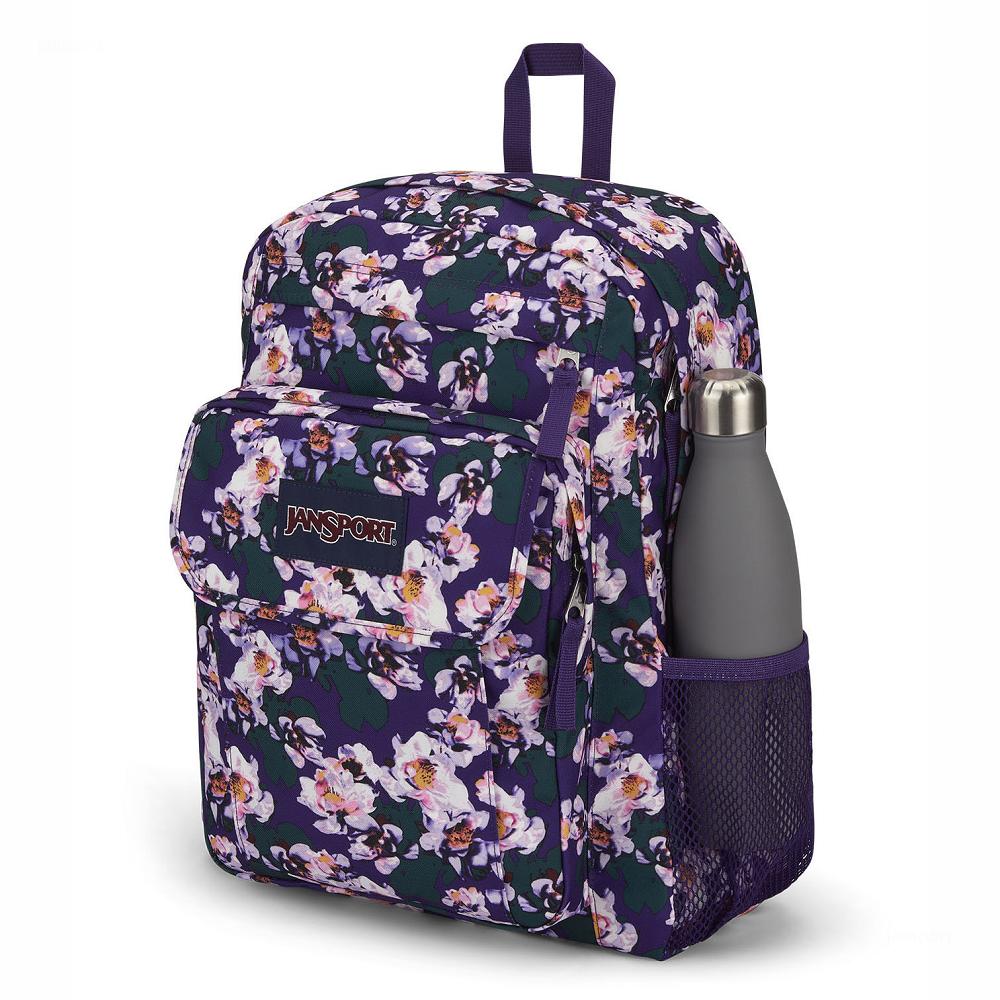 Purple JanSport UNION PACK Laptop Backpacks | MY_JS396