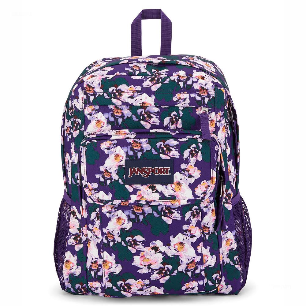 Purple JanSport UNION PACK Laptop Backpacks | MY_JS396