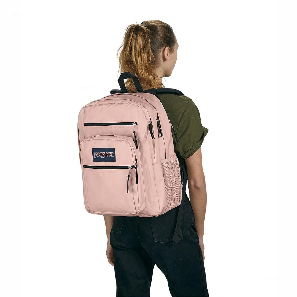 Rose JanSport BIG STUDENT Laptop Backpacks | MY_JS367