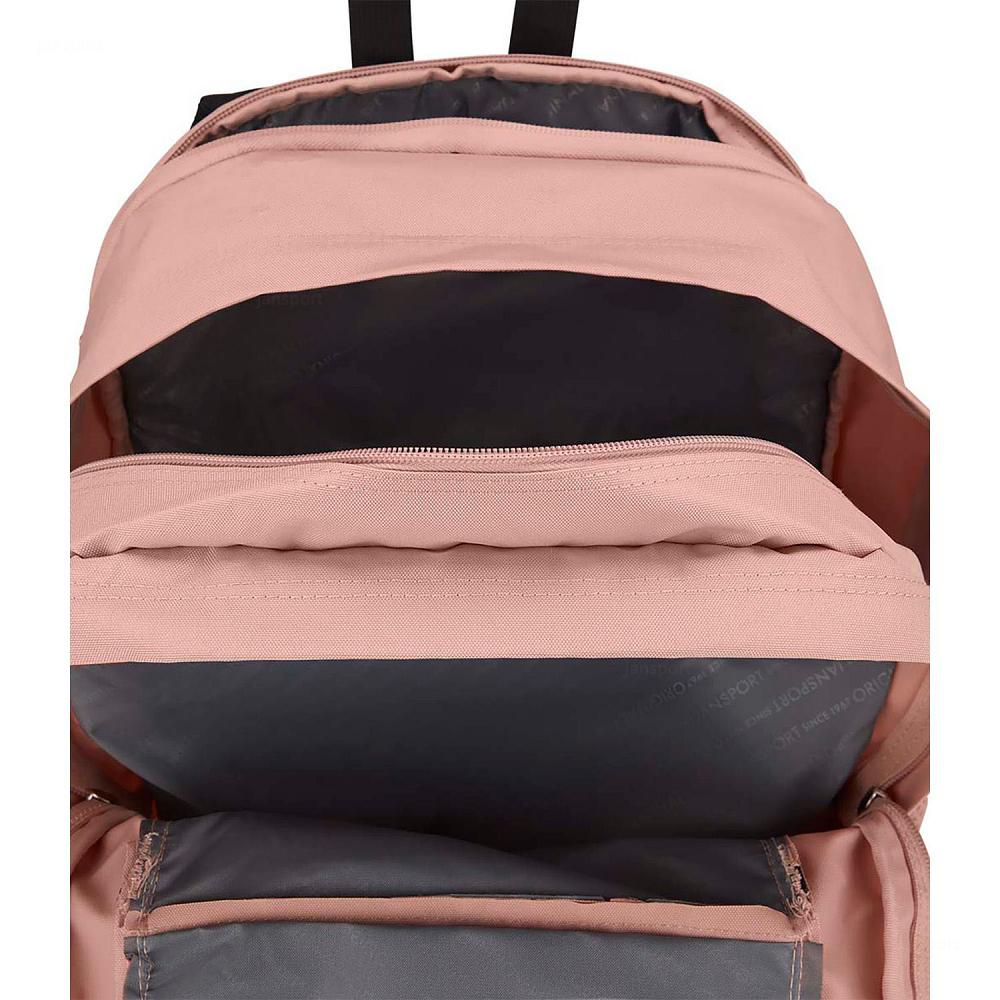 Rose JanSport Main Campus Laptop Backpacks | MY_JS566