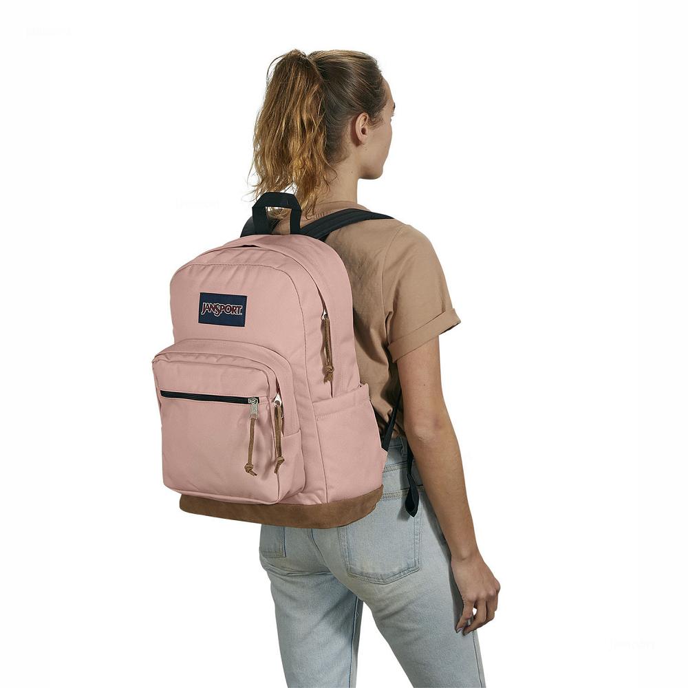 Rose JanSport Right Pack Laptop Backpacks | MY_JS590