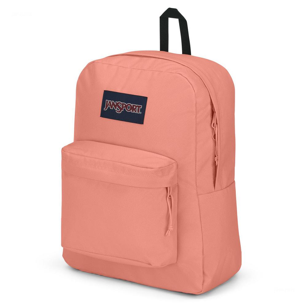 Rose JanSport SuperBreak® Plus Laptop Backpacks | MY_JS200