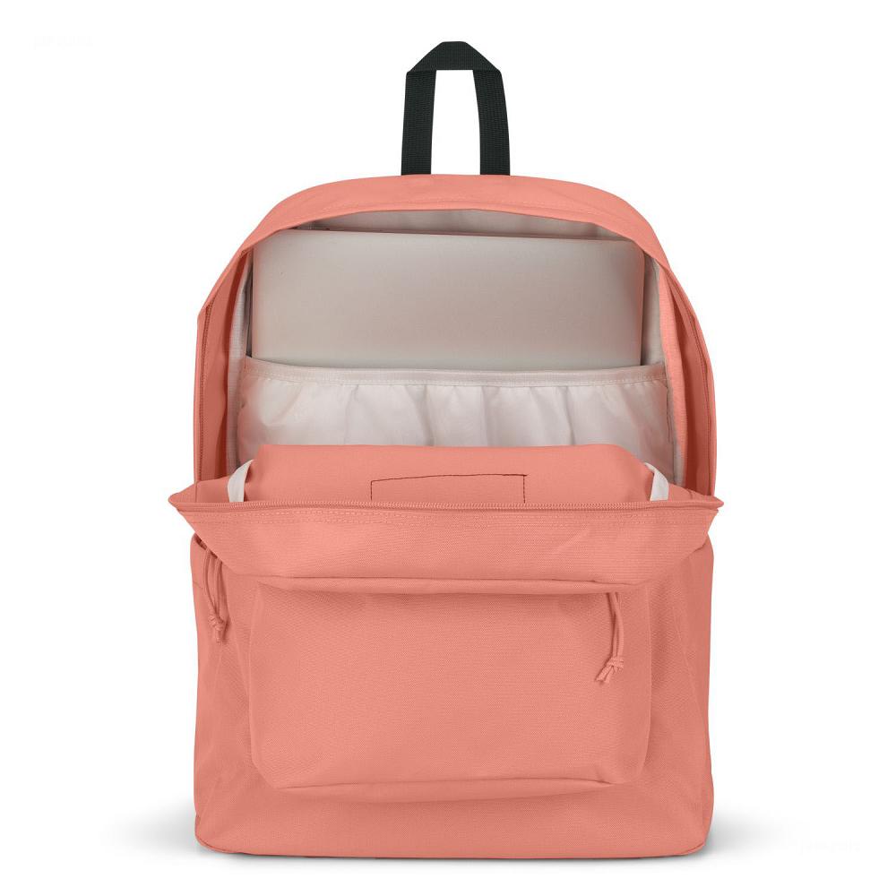 Rose JanSport SuperBreak® Plus Laptop Backpacks | MY_JS200