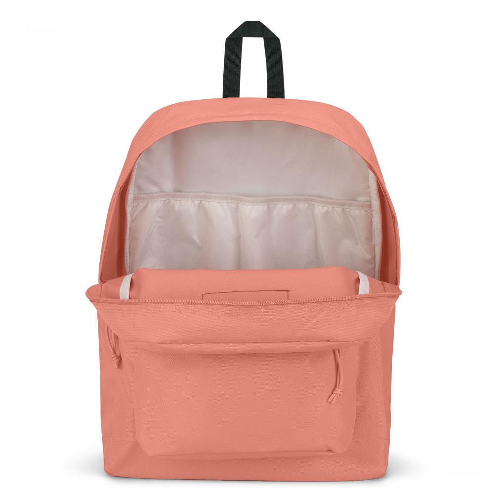 Rose JanSport SuperBreak® Plus School Backpacks | MY_JS110