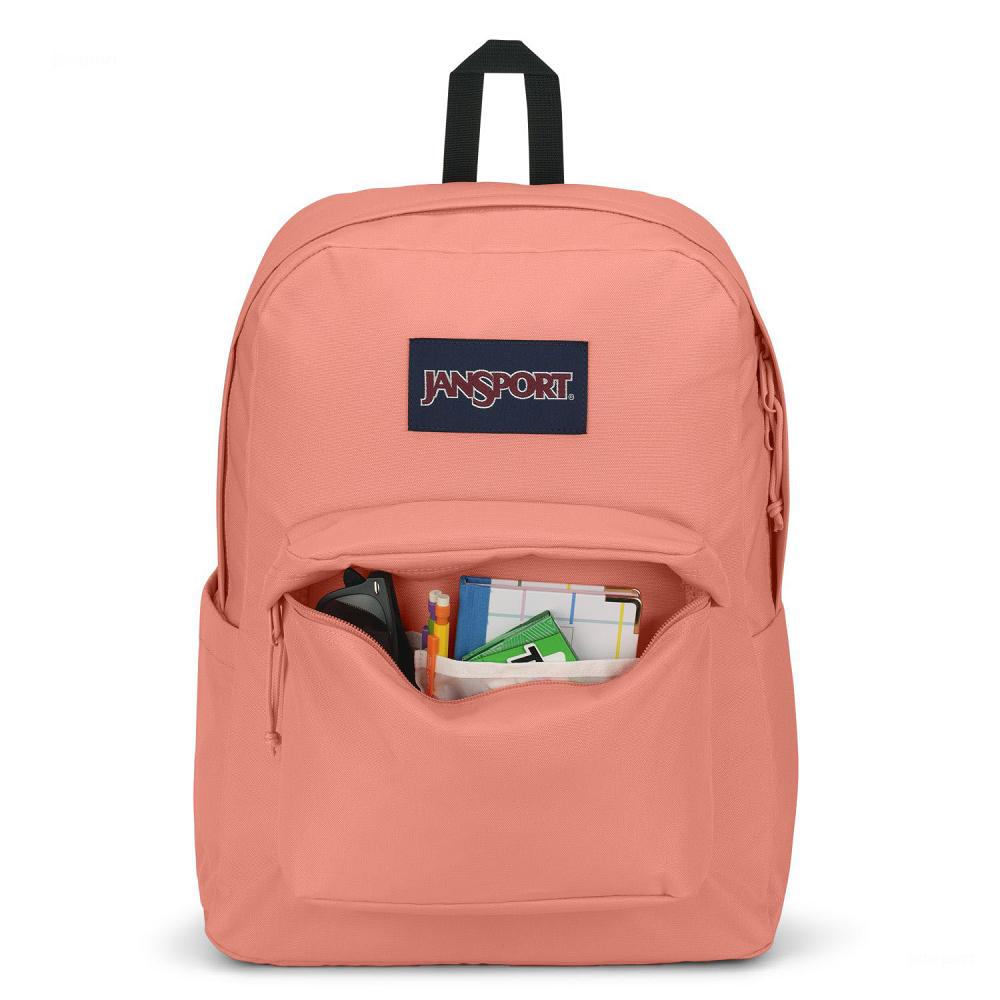 Rose JanSport SuperBreak® Plus School Backpacks | MY_JS110