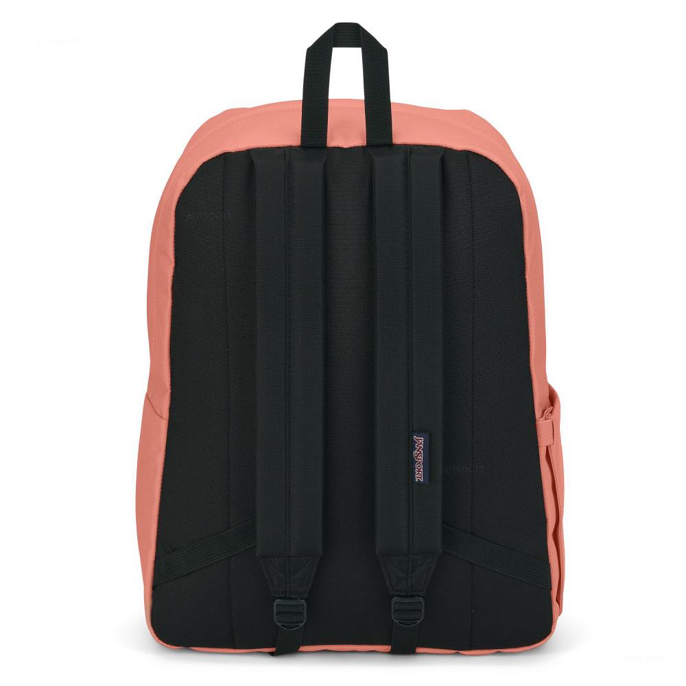 Rose JanSport SuperBreak® Plus School Backpacks | MY_JS110