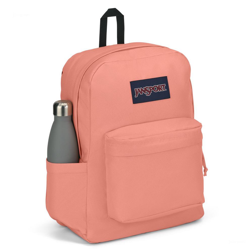 Rose JanSport SuperBreak® Plus School Backpacks | MY_JS110
