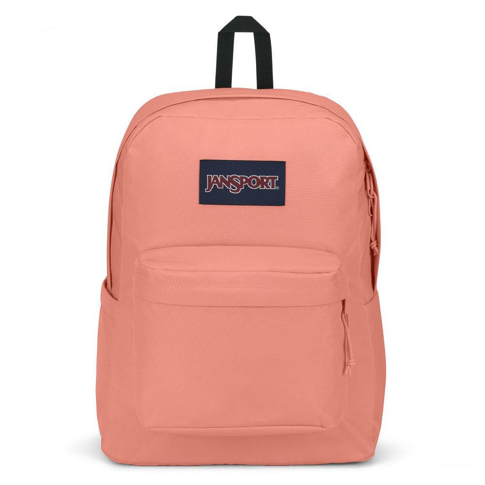 Rose JanSport SuperBreak® Plus School Backpacks | MY_JS110