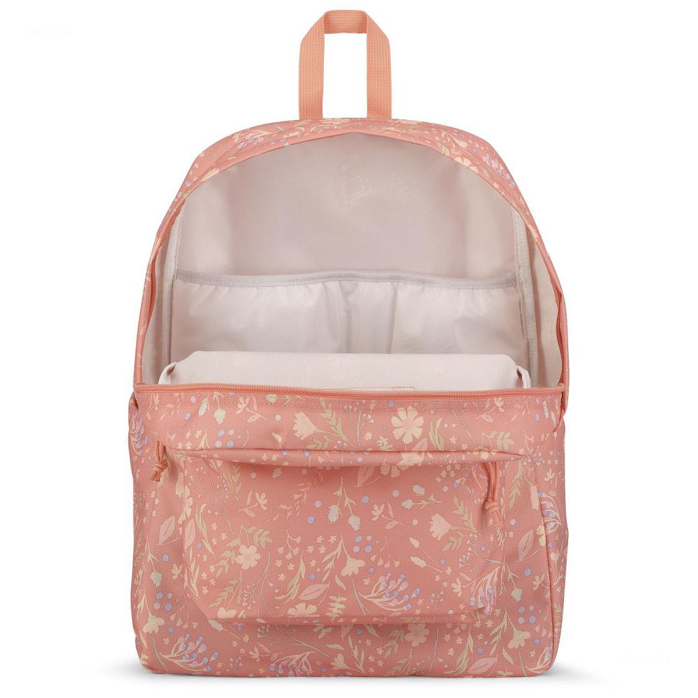 Rose JanSport SuperBreak® Plus School Backpacks | MY_JS175