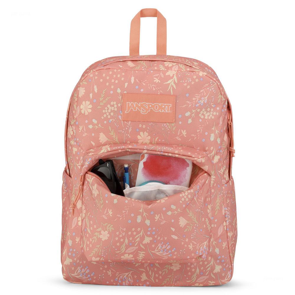 Rose JanSport SuperBreak® Plus School Backpacks | MY_JS175